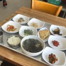 고성군청본관(1층) | 고성 속초 혼자 뚜벅이 여행 2일차 | 📍고성·속초 여행 코스와 맛집 기록🥢