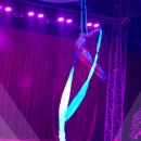 (주)여수월드서커스 아트홀 | 서커스 공연 실내데이트 여수서커스 아트홀 후기 [내돈내산]