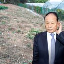 내곡동-8 이미지