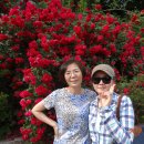 갈전농장 이미지