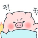 최고집참숯생고기