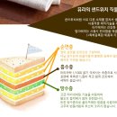 베베뮤 네이버블로그
