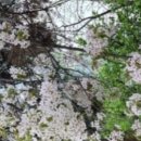 정지상(鄭知常)의 시 - 개성사팔척방(開聖寺八尺房) 개성사 스님의 방에서