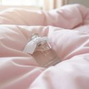 꽃향 | 진한 꽃향 지속력 최강 여자향수 후기(ft.에클라트뒤주르플레르)