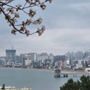 [포항여행/포항호텔] 죽도시장 인근 호텔 라자비 솔직후기