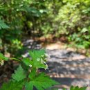 안골길 14 이미지