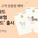 리치펫동물병원 이미지