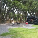 달성관광(주) 이미지
