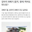 강아지 과메기 먹어도 될까⁉️ 용인 수지 성복동 24시간 동물병원 강아지 야간진료: 사람앤동물메디컬센터