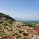 삼덕공원 앞 이미지