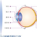 글라스스토리안경김포한강점 이미지