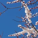 바람의언덕길 이미지