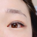 대구속눈썹연장 수성구속눈썹 금손언니 범어점 솔직후기
