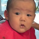 바미살롱 이미지