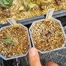 백경농장 이미지