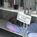 노머트