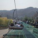 붐 떡볶이 | [용인] 환상의 나라 에버랜드 2026년 워킹사파리, 튤립축제 후기!! (+다리집 떡볶이)