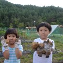 행복빌리지캠핑장 이미지