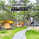 대천해수욕장 국민여가캠핑장(1지구) | 대천 보령 가볼만한곳 대천해수욕장 근처 캠핑장