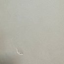 골든펠리스더리치오피스텔 이미지