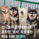 슬릭 교대캠프 이미지