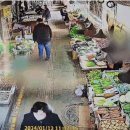 은평-008 이미지