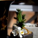 천년약속 이미지