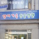 양지동물병원 네이버블로그
