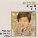 또왔네 Daum카페
