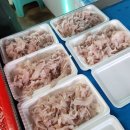 공현진항 | 고성 공현진항 어구가자미 출조기 (비너스호 조황 후기)