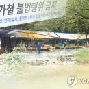 야영장 진출입로