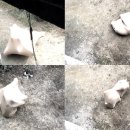 현대사진문화연구소 이미지