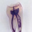 내외치과의원 이미지