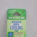 올리브덴탈 티스토리