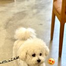 레몬 골프연습장 이미지