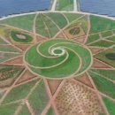 SUN 태양광발전소 이미지