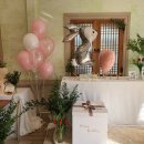 어반크루즈 이미지