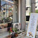선행초등학교 | [권선동 분식맛집]수원길거리토스트,핫도그 호롤롤로(메뉴,가격,떡볶이,반려동물동반)