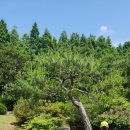 돼지보러오면돼지 | [경기/이천] 피아뜰 돼지보러오면돼지