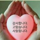 광덕사 이미지