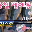 벵에돔 낚시 (Opaleye Fishing)
