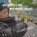 들꽃농장 | 연천 딸기농장 따기 체험 들꽃가람농장 케이크 쿠킹클래스