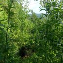 조아조아놀이터 이미지