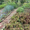 완도해송팬션 이미지