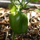 작은농원 이미지