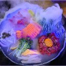 육회만난연어