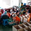 효림재가노인지원센터 이미지