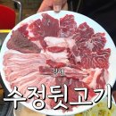 수정뒷고기