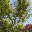 가평사과나무캠핑장 이미지