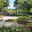 아리랑 어린이공원 이미지